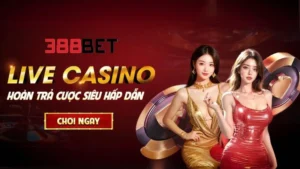 Cá cược casino tại sảnh Live Casino 388bet